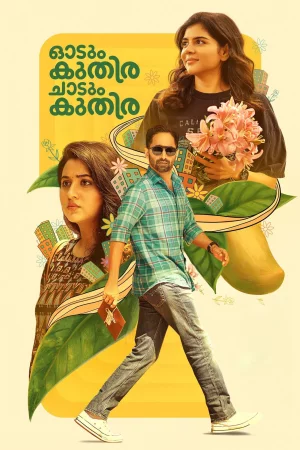 Remains 2011 Hindi Full Movie Download 720p 480p